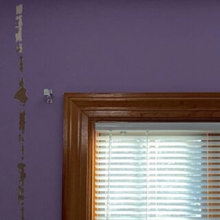 Purple Room Before